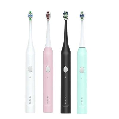 China Wholesale Hot Selling Smart Electric Toothbrush USB Rechargeable Sonic Electric Toothbrush Gift Group Purchase B-019 for sale