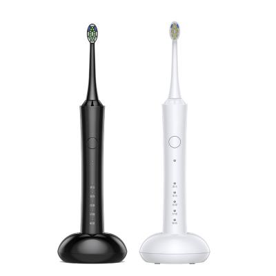 China Electric Toothbrush Black And White Induction Magnetic Levitation Couples Electric Toothbrush Rechargeable Smart Household B-022 for sale