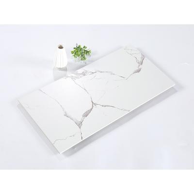 China Interior Ceramic Wall Tiles 300X600 Carrara Rustic White Matte Finish Tile For Bathroom Kitchen Wall Tile for sale