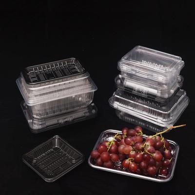 China Recycled Materials Recyclable Vacuum Shaped Clear Storage Plastic Clamshell Set Fruit Packaging Container for sale