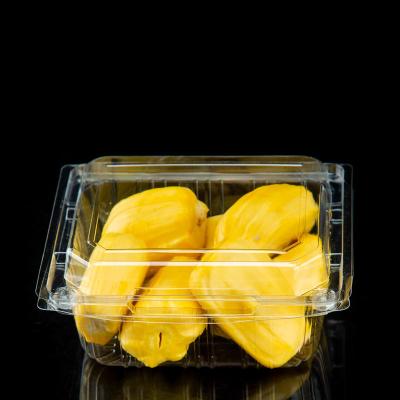 China Recycled Materials Wholesale Disposable Clear Lid Containers For Vegetable Food Clamshell Food Containers Fruit Food Storage Box for sale