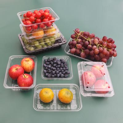 China Recycled Materials Clear Transparent Clamshell Rectangle Plastic Box Disposable Food Vegetable Tray For Multiple Kinds Of Fruit Container for sale