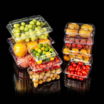 China Recycled Disposable Plastic Materials Clamshell Fruit Packing Container Take Away Food Fresh Keeping Packing Box for sale