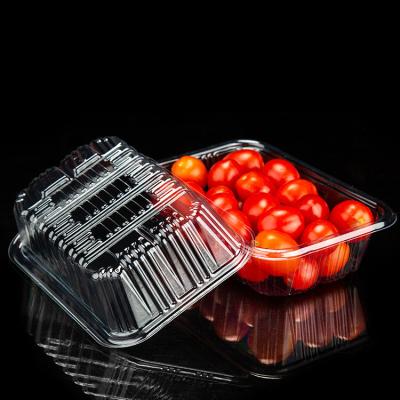 China Recycled Materials Clamshell Food Container Disposable Clear Rpet / Plastic Pet Clamshell Fruit Kiwi Packaging Box for sale