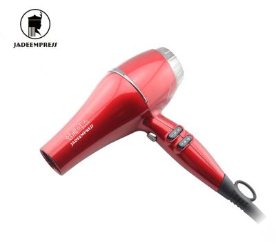 China 2000W Hair Blow Dryer Wholesale Professional Ionic AC Motor Smart Hair Dryer For Salon Hair for sale