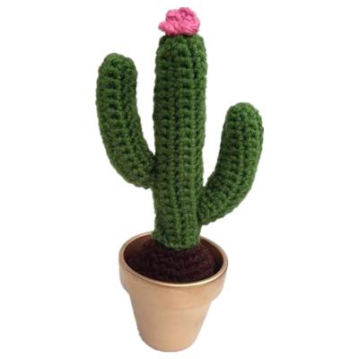 China Custom plush handmade crocheted stuffed colorful cacti and other potted plants for sale