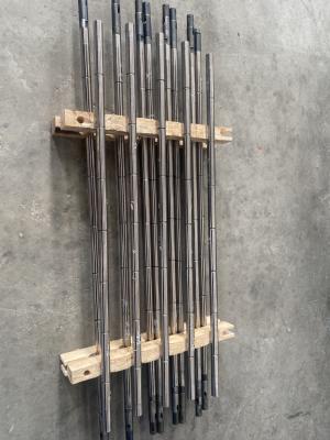 China Sucker Rod Pump Configuration Type Inserted Processing Type Casting Rod Insert Pump for sale