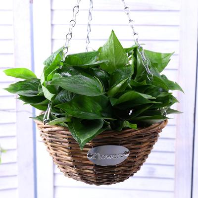 China Garden Orchid Basket Decoration Flower Pot Durable Rattan Woven Rattan Hanging Basket Creative Wholesale for sale