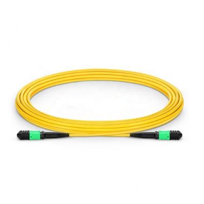 China High Quality MPO 12/24 Core Fiber Patch Cord High Density Female Singlemode Patch Cable for sale