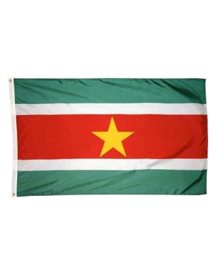 China Custom Flying High Quality Suriname Outdoor Flag 3x5 Polyester National Flag Banner for sale