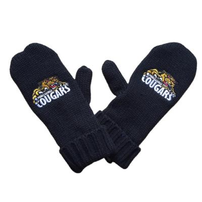 China Simple Custom Embroidery Logo Knit Mittens Black Sports Team Logo Embroidery Knit Mitten for sale