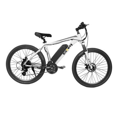 China Factory Price New Design Cheap High Speed ​​Chinese Adult Electric Bicycle Battery Aluminum Alloy Electric Bicycle for sale