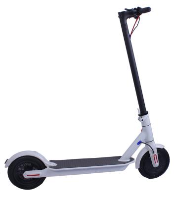 China New high quality fresh stylish unisex folding scooter electric bike 1000w for adult outdoor for sale