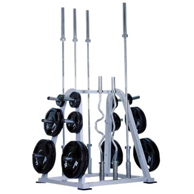 China Bodybuilder Gym Dumbbell Bar Unisex Home Barbell Set Large Hole Rack for sale