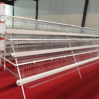 China Raises automatic nipple drinker for chicken deeder chicken cage for sale