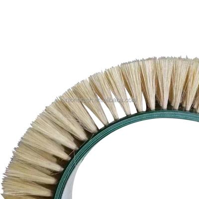 China Tampic Belt Strip Brush Return Brush Cleaner Flexible Belt Motorized Belt Cleaner For Conveyor for sale