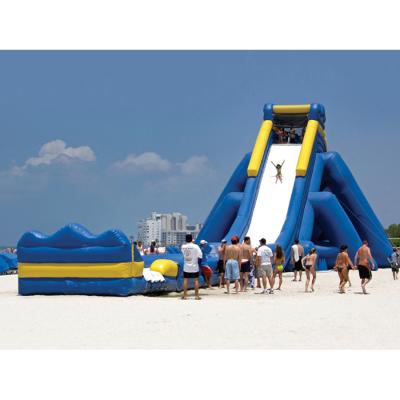 China Sports Centers 10 Meters High Adult Hippo Giant Inflatable Water Slide For Beach From China Inflatable Manufacturer for sale