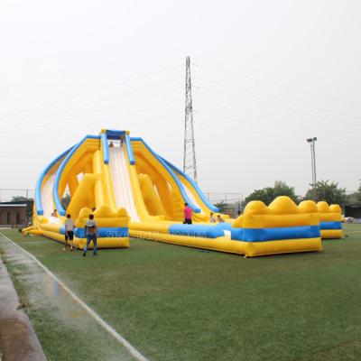 China PVC 3 Lanes Giant Inflatable Hippo Water Slide For Adults With Long Slide And Slide At The End for sale