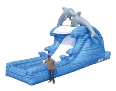 China PVC 5m high cute dolphin kids inflatable water slide with pool from Sino China inflatable factory for sale