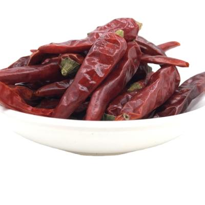 China Frutescens Dry Dry Pepper Dried Chili Pepper xiaomila red chili pepper for sale