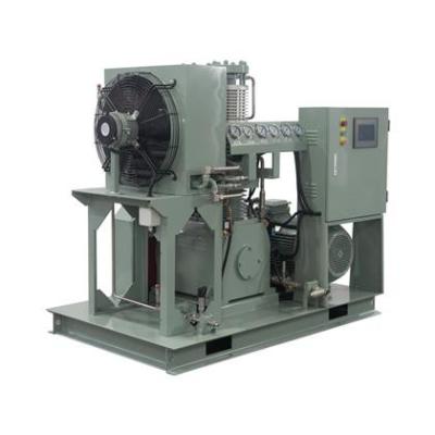 China Big Capacity Oil Free Piston Gas Compressor Air Booster Nitrogen Gas Booster Compressor for sale