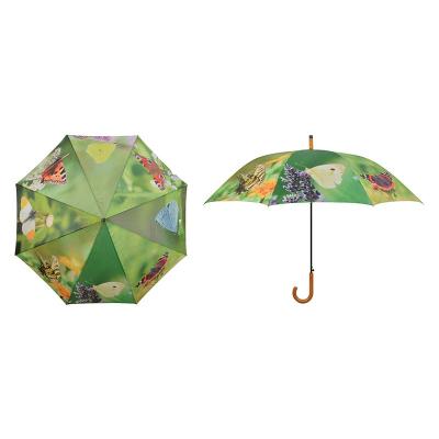 China Printing Minimalist Hot Selling Durable Umbrella With Butterfly Umbrella With Butterflies Pattern for sale