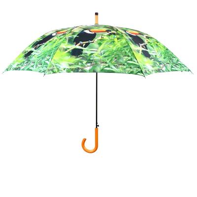 China New Hot Selling Minimalist Jungle Umbrella Toucan Printing Umbrella Rain Polyester Outdoor Animal Custom With Wooden Handle for sale