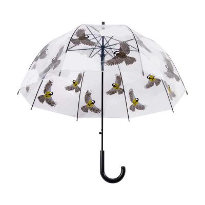 China High Quality Minimalist Outdoor Water Proof 7C POE Transparent Umbrella With Flying Birds for sale