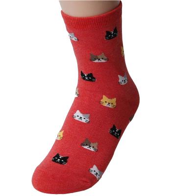 China Beautiful and Stylish Cat Printed Korean Style Comfortable Antibacterial Antibacterial Socks for sale