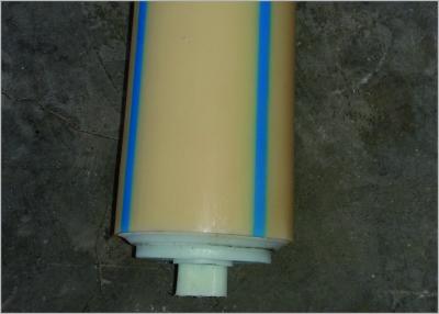 China Waterproof Nylon Conveyor Belt Idlers Rollers With Blue Strip for Chemical Plant for sale