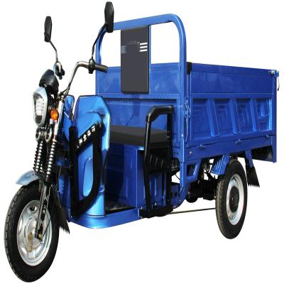 China Cargo sales volume leading 60v 500w electric ebike bike 3 wheel for sale