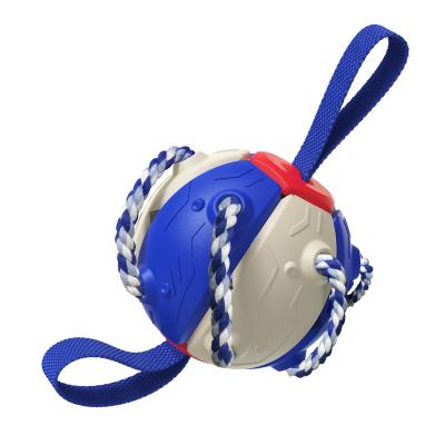 China Viable Wholesale Pet Training Soccer Puzzle Bite-Resistant Outdoor Frisbee Toy for sale