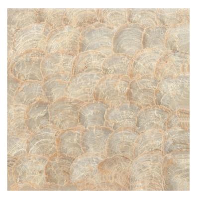 China Parquet Top Quality Gold Colored Discs For Lampshades Capiz Shell Mosaic for sale