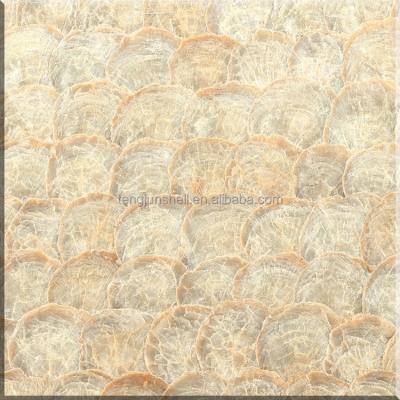 China Eco-friendly BROOM pearl shell mosaic capiz shell mosaic fish scale mosaic tile for sale