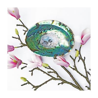 China 2021 Modern Buttons For Sale Mother Pearl Electroplated Paua Shell Paper Abalone Shell for sale