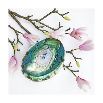 China Modern Hot Sale Dots Jewelry New Zealand Veneer Leaf Pearly Abalone Shell With Best Prices for sale