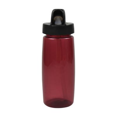 China Supplier Sustainable Wholesale Plastic Bottles Bpa Free Water Bottles For Kids S Bottle Straw Educate Student Children ' for sale