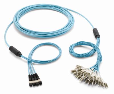 China High Density 12 Cores MPO MTP Trunk Cable , Optical Patch Cord Local Area Networks for sale