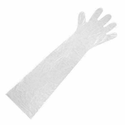 China Long Sleeve Biodegradable Plastic Gloves Eco - Friendly Cleaning Pe Glove for sale