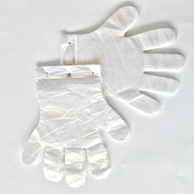 China Strip Eco-friendly Disposable Plastic Gloves Cleaning Disposable Gloves Transparent Black Kitchen for sale