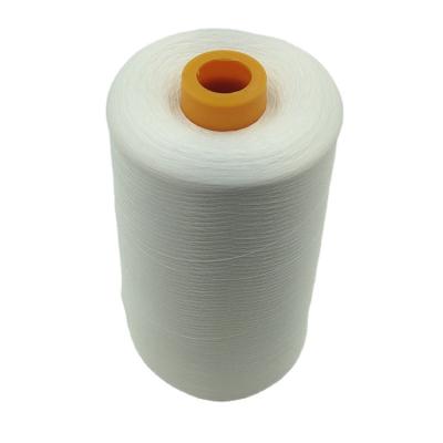 China Abrasion Resistance Semi Dull QC OEM 100D Polyester Overlock Yarn For Textile for sale