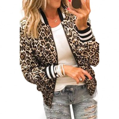 China Breathable Wholesale Custom Women Fashion Print Zipper Stand Collar Leopard Short Jacket for sale