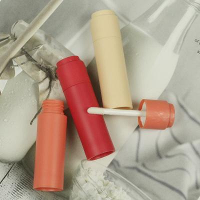 China Cosmetics Lip Gloss Makeup Lip Gloss Case Packaging Container Lip Gloss Tube for sale