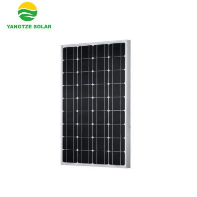 China Solar System Yangtze First Grade 100wp Monocrystalline Solar Panel for sale