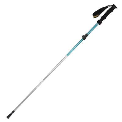 China Hot EVA Factory Support Designer Mobility Walking Stick for sale