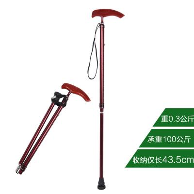 China Cost Effective Aluminum EVA Extension Rod Stick Increasing Walking Stick Defender for sale