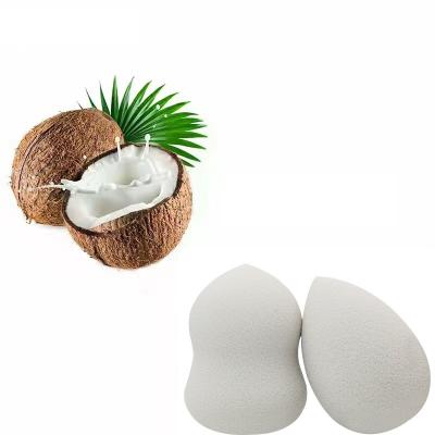 China Factory Price Coconut Shell Carbon Fiber Non-Latex Soft Biodegradable Beauty Sponge BioBlender for sale