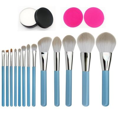 China Angular Blush Cangli Beauty 13 Makeup Set Brush and 1 Soap Solid Remover Professional Makeup Kit for sale