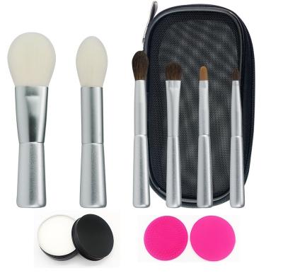 China Angular Blush 6 Pcs Silver Color Traveling To Qualify Makeup Brushes Cute Portable Soft Makeup Brush Set With Case for sale