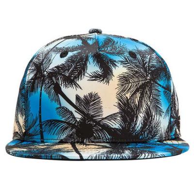 China Free Custom Sample Sublimation Printing Logo Private Label Hat Snapback Hat COMMON for sale